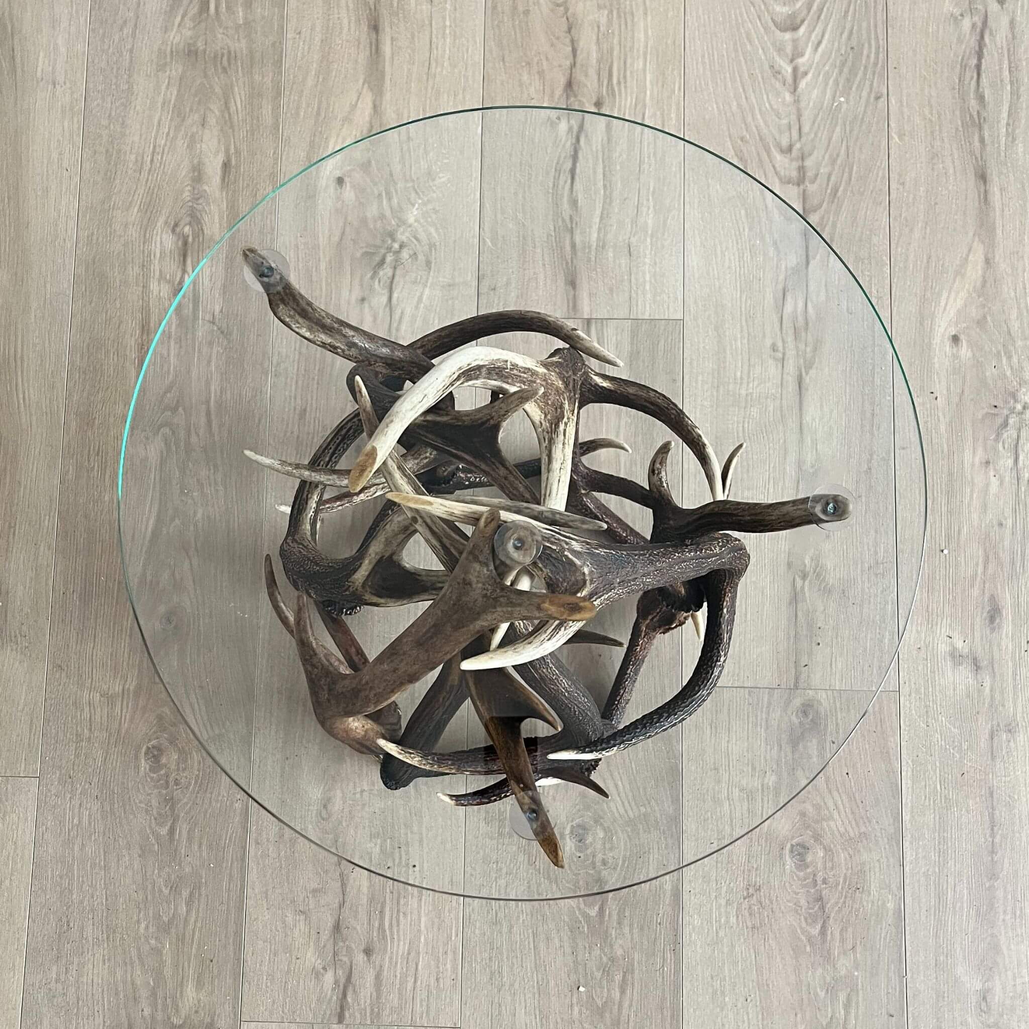 Antler table, view from the top.