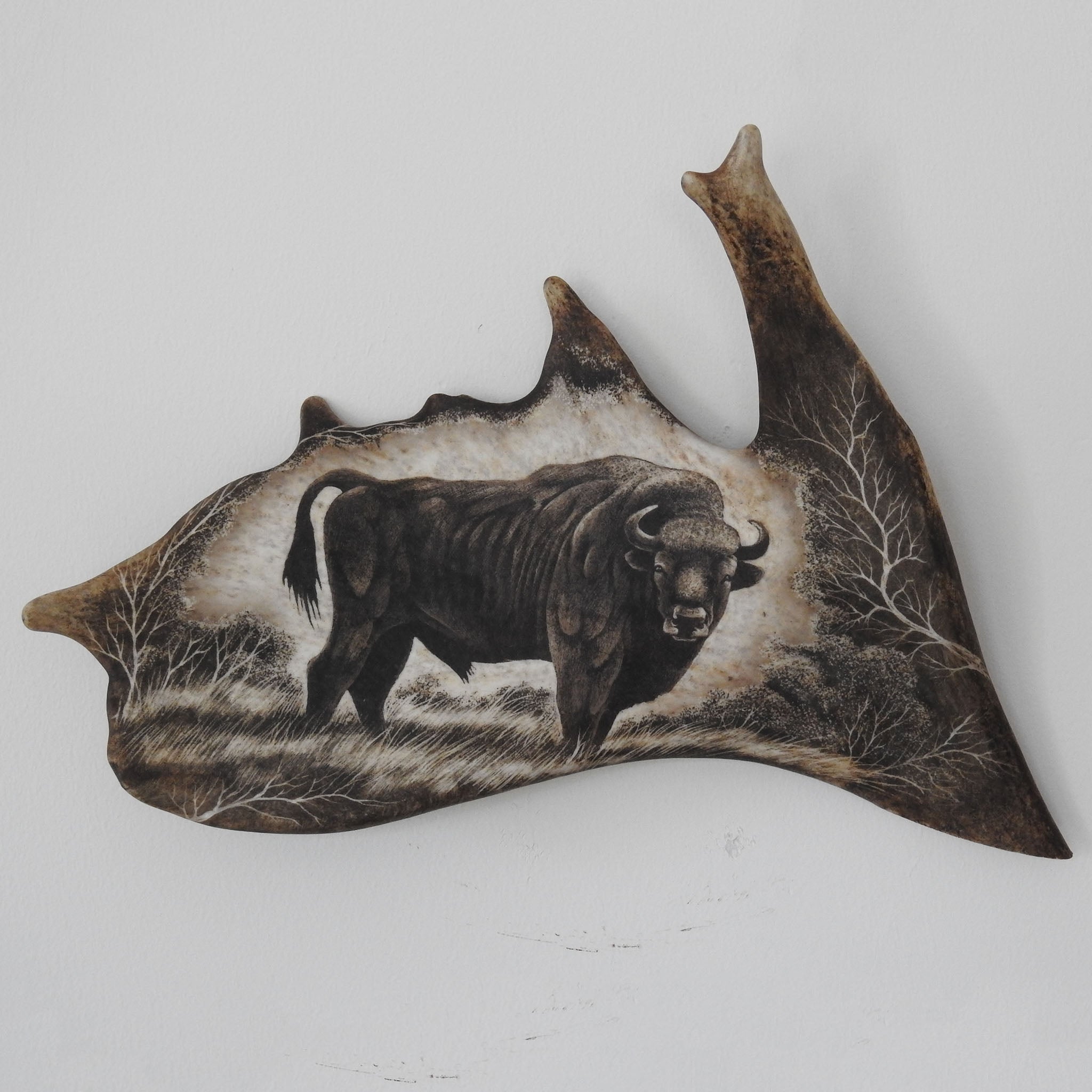 Real fallow deer antler carving.