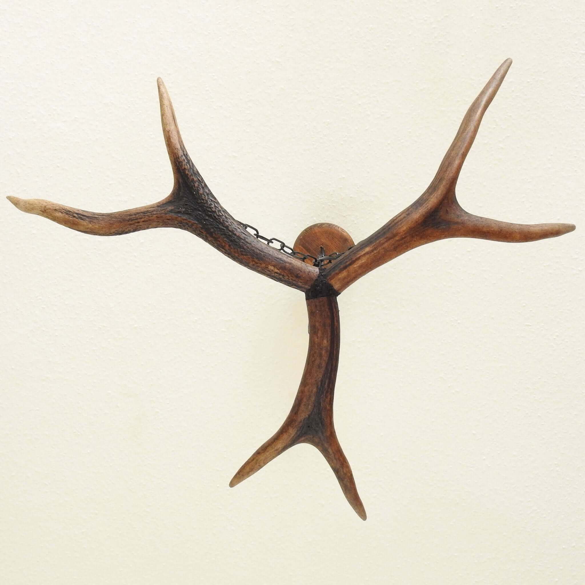 Antler chandelier, view from the bottom.