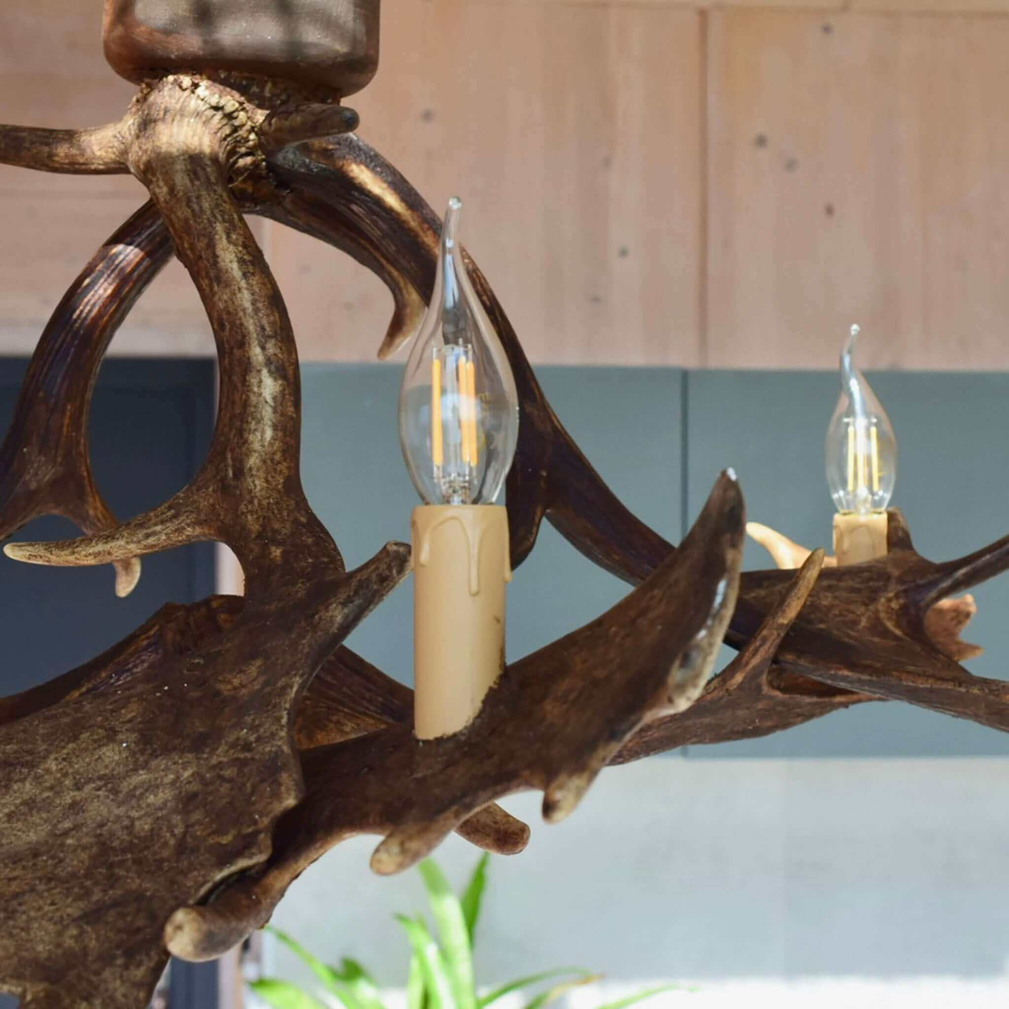 Antler chandelier in modern designed room.