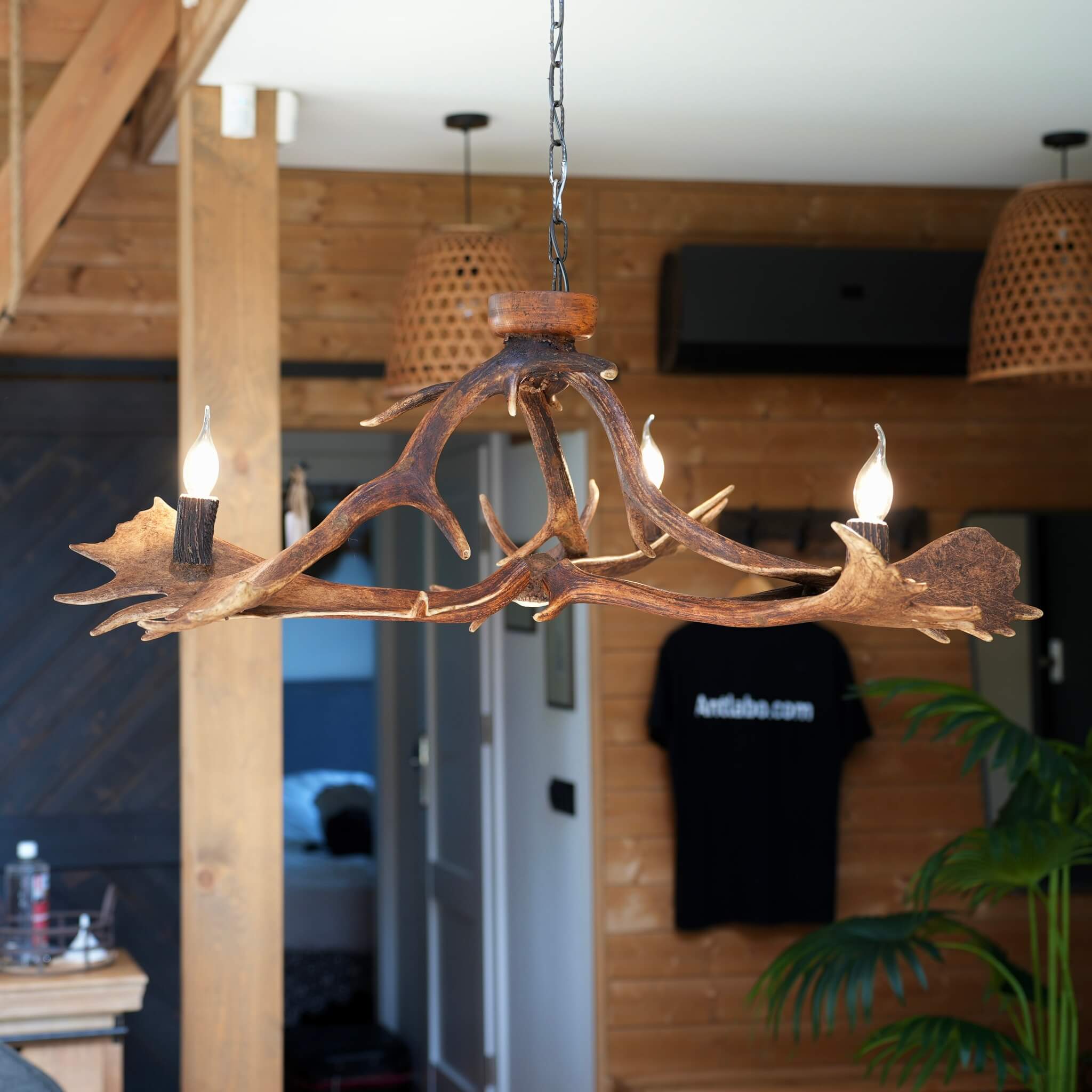 Low-profile antler chandelier with three lights, adding a touch of wilderness to your home.