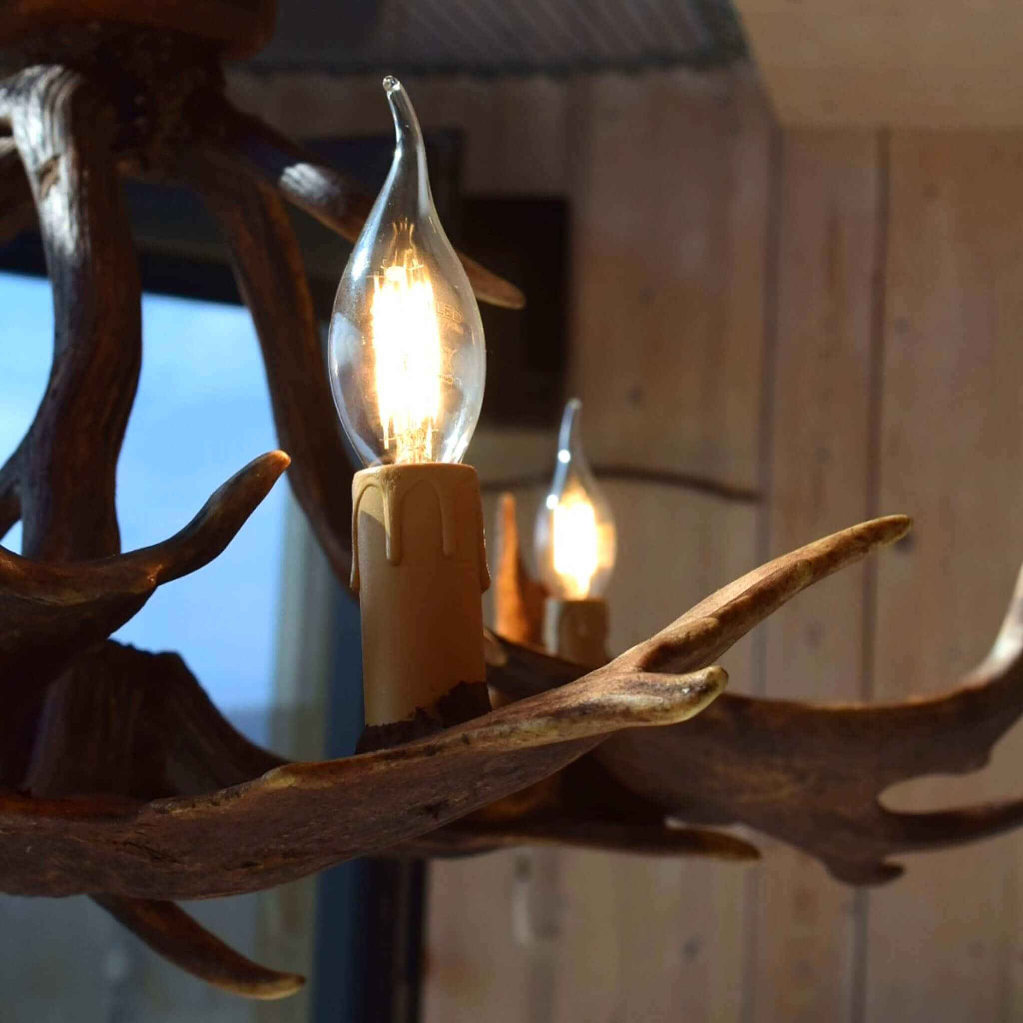 Details of antler chandelier.