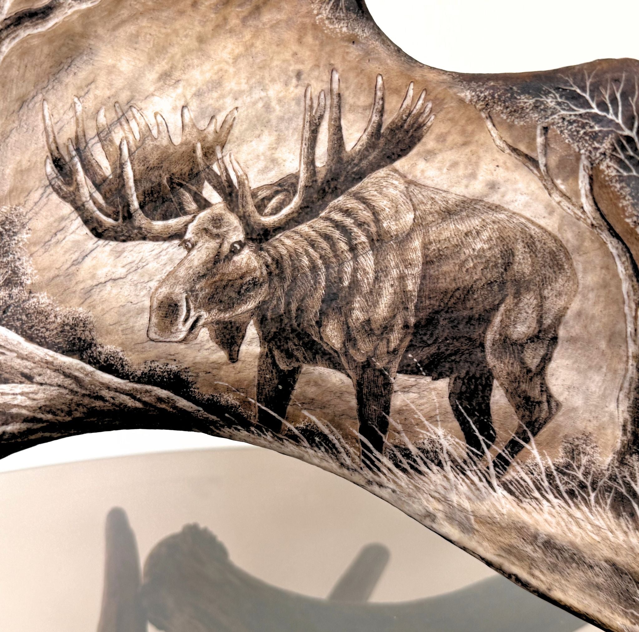 A close-up of a carved wooden or bone-like object featuring a detailed moose illustration with large antlers, shown against a light neutral background.