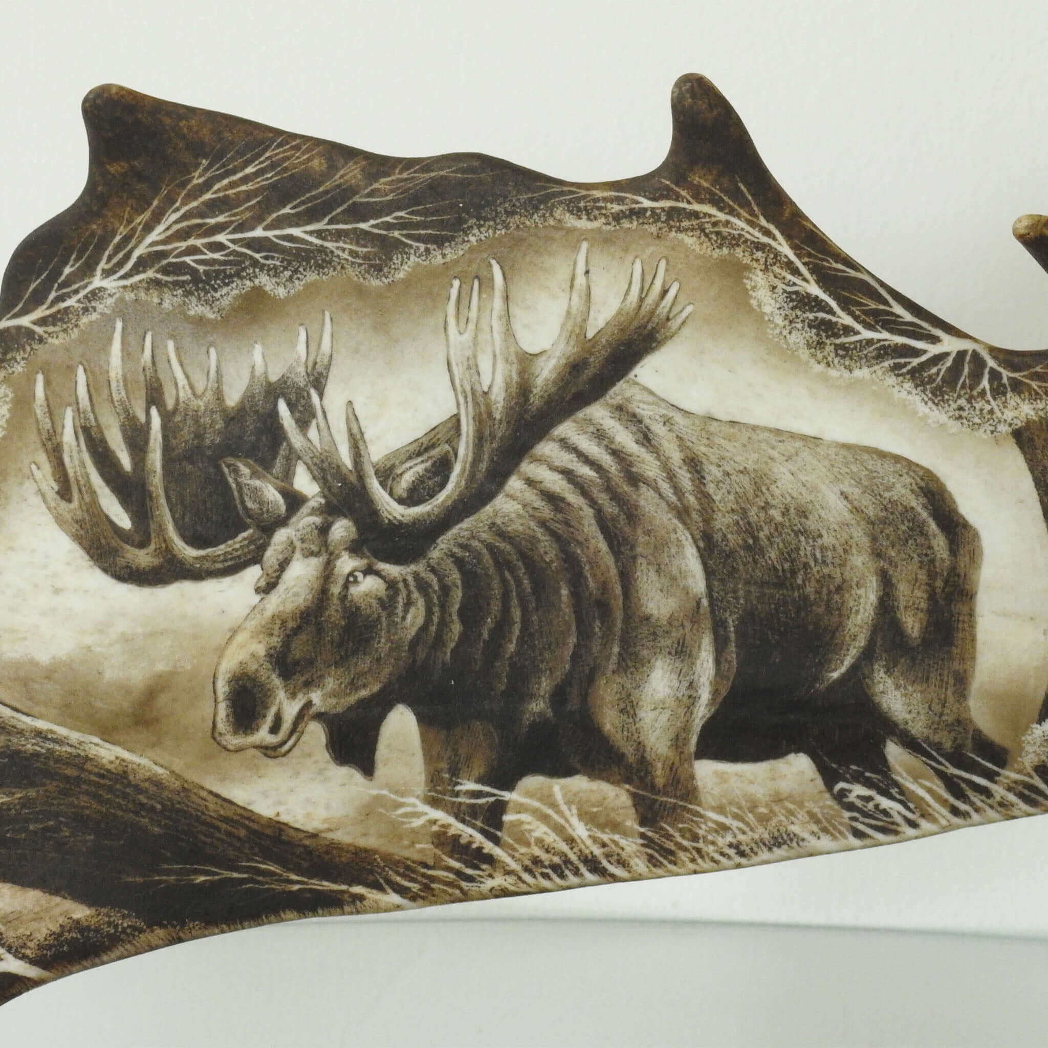 Real moose antler carved.