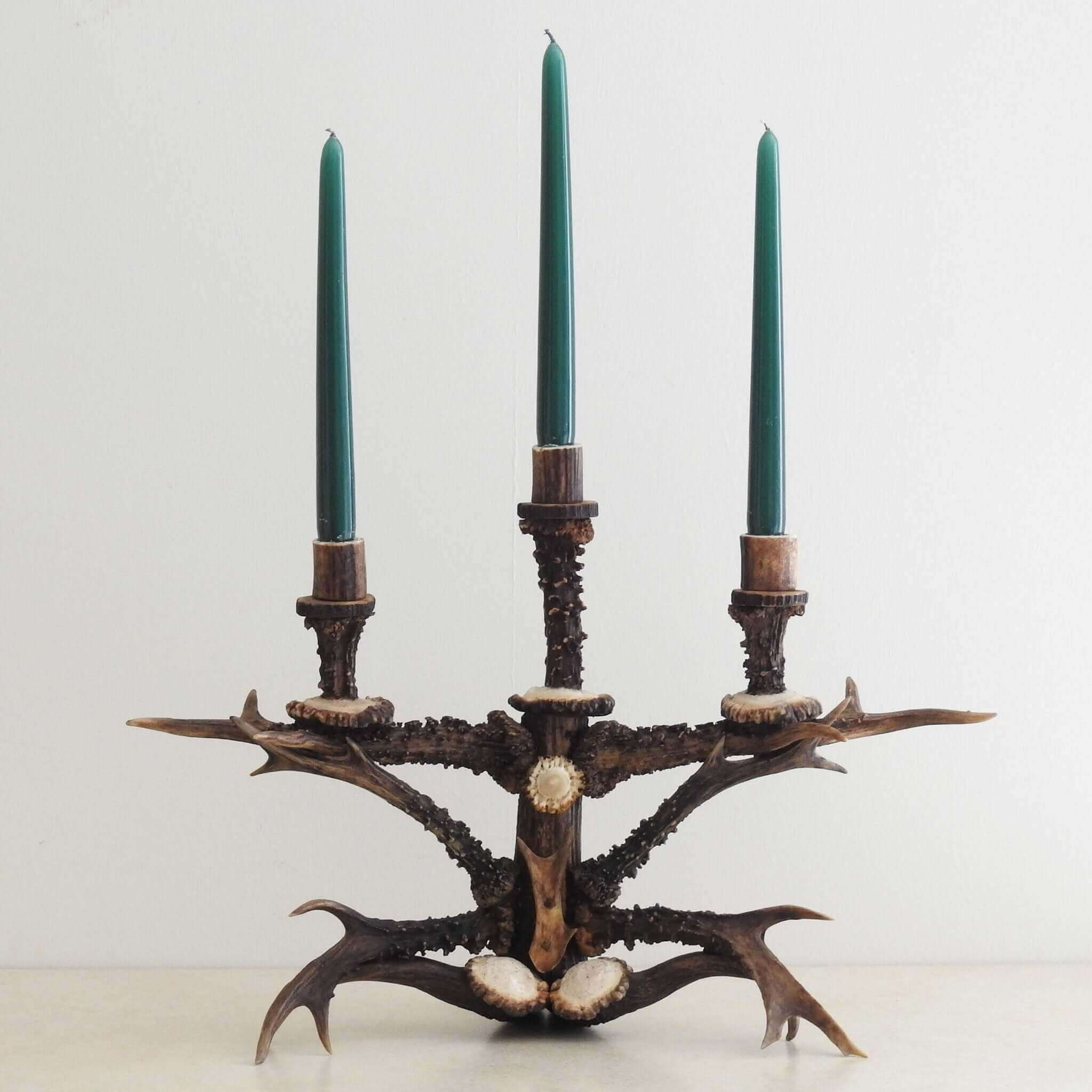 Roe deer antler candelabra.