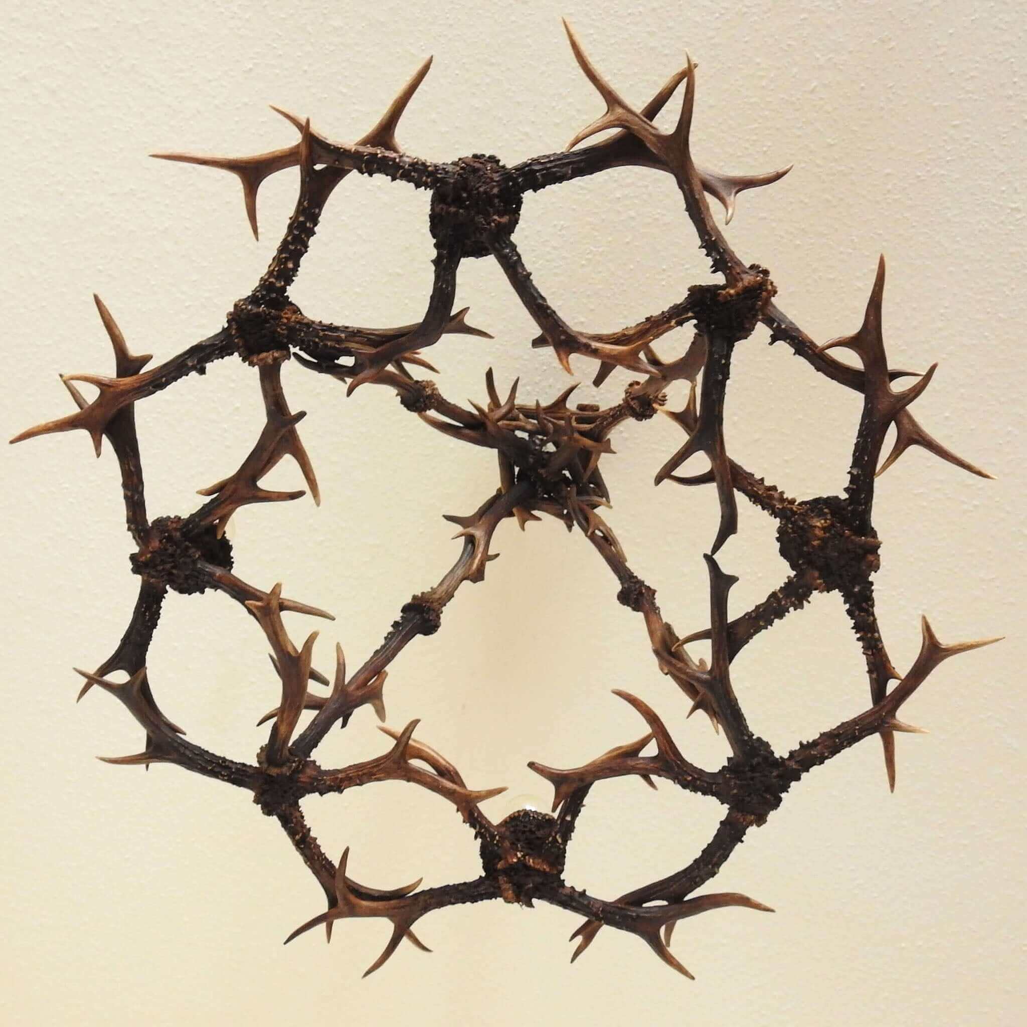 4-lights antler chadnelier, view from the bottom.