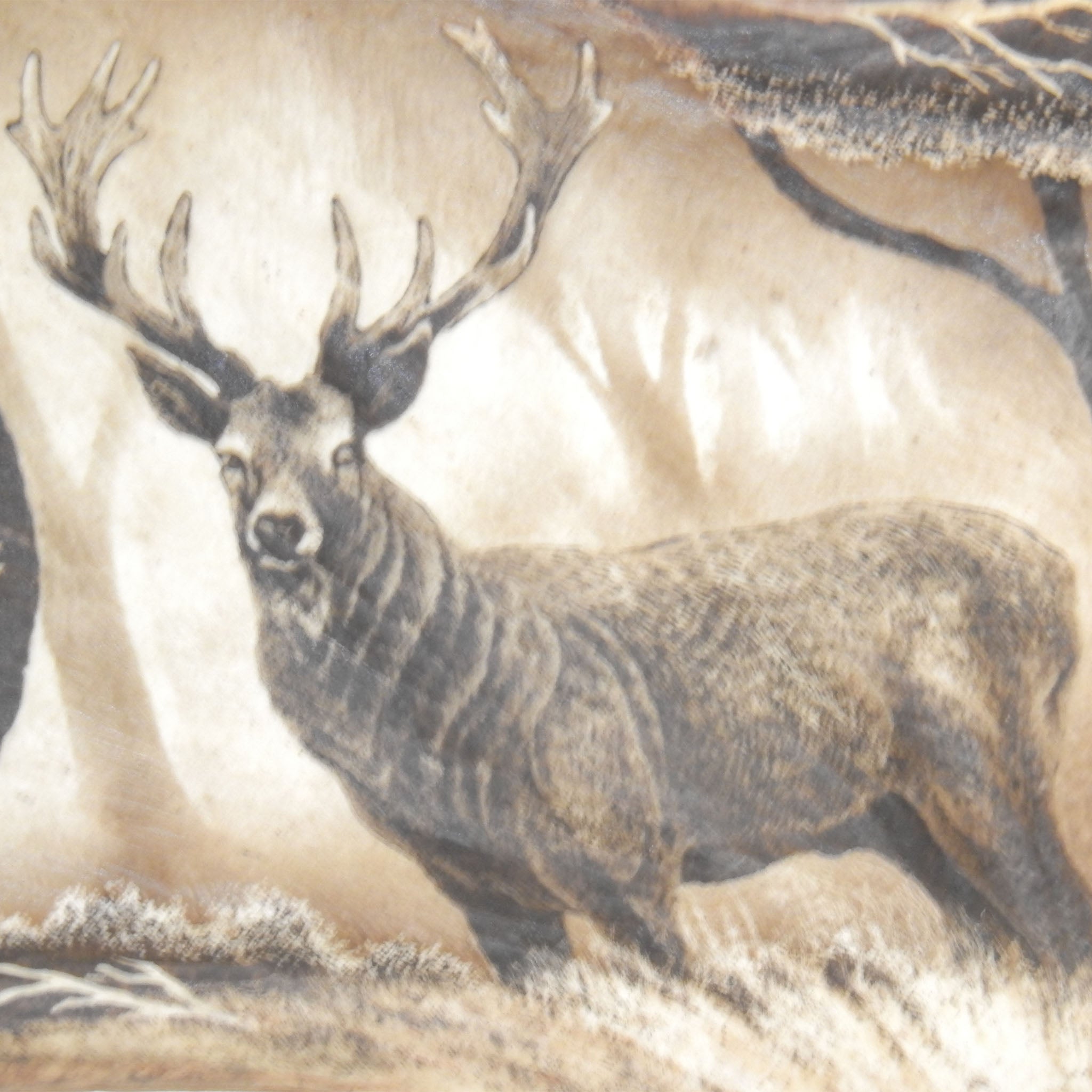 Antler carving shows deer.