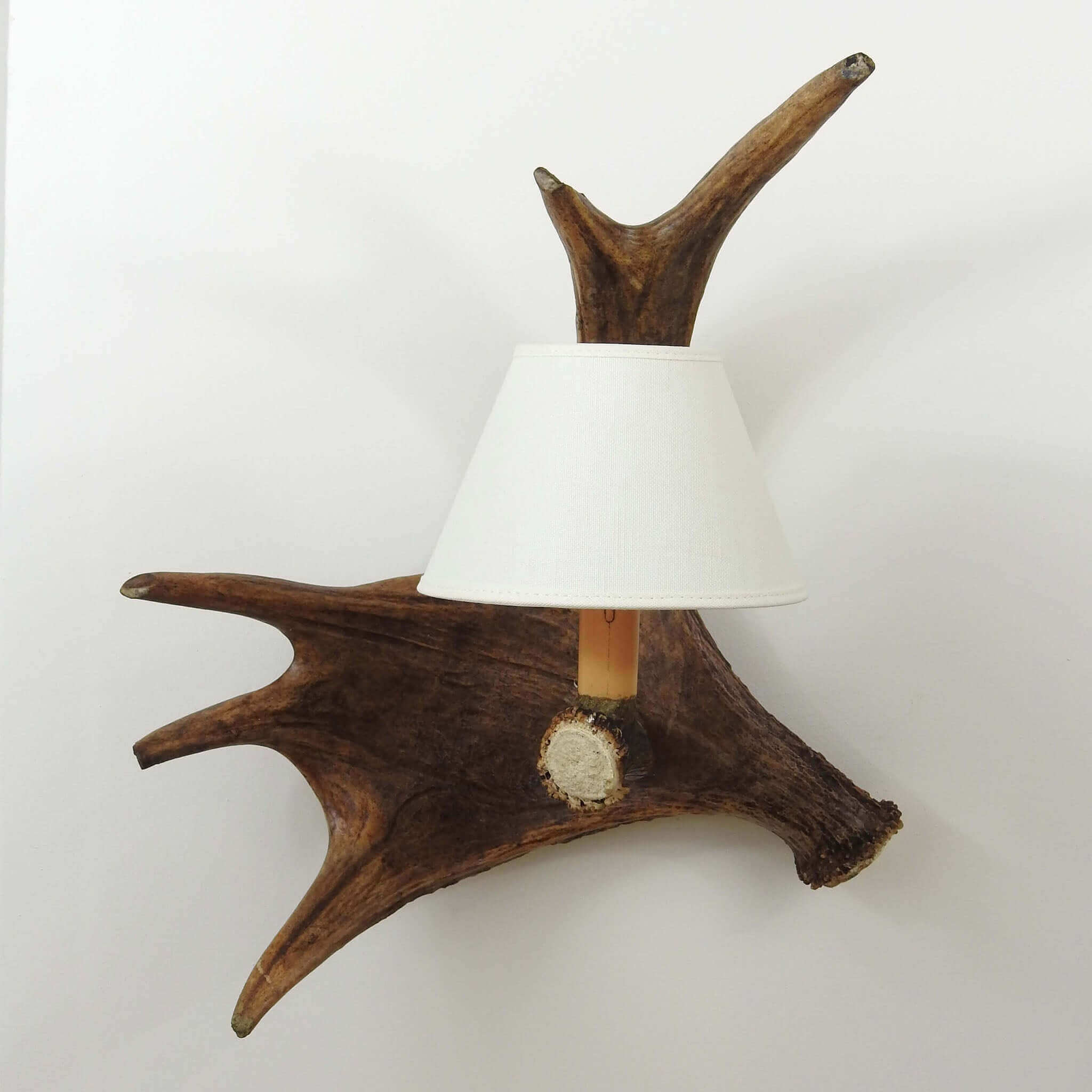 Real elk antler lighting.