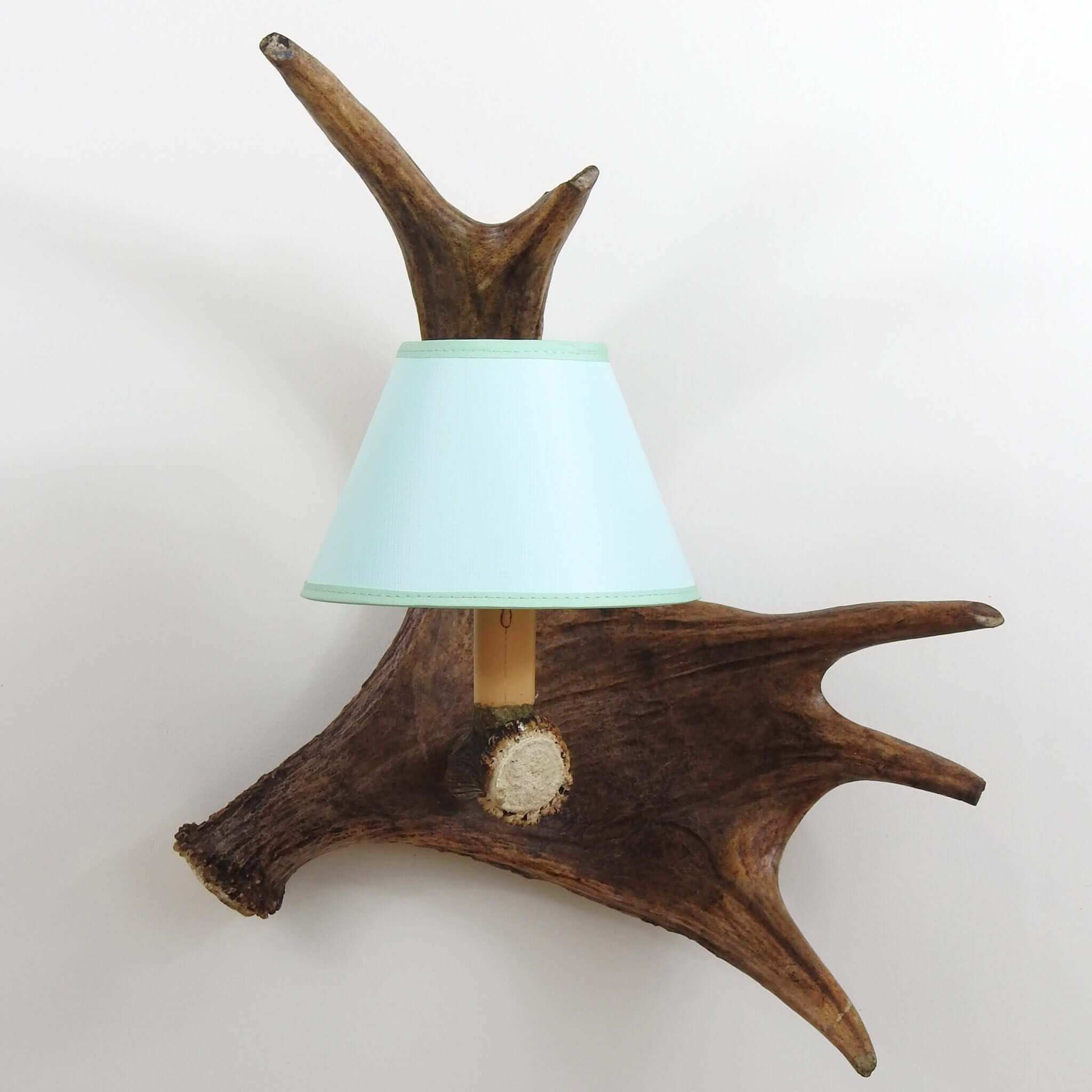 Moose antler on wall.