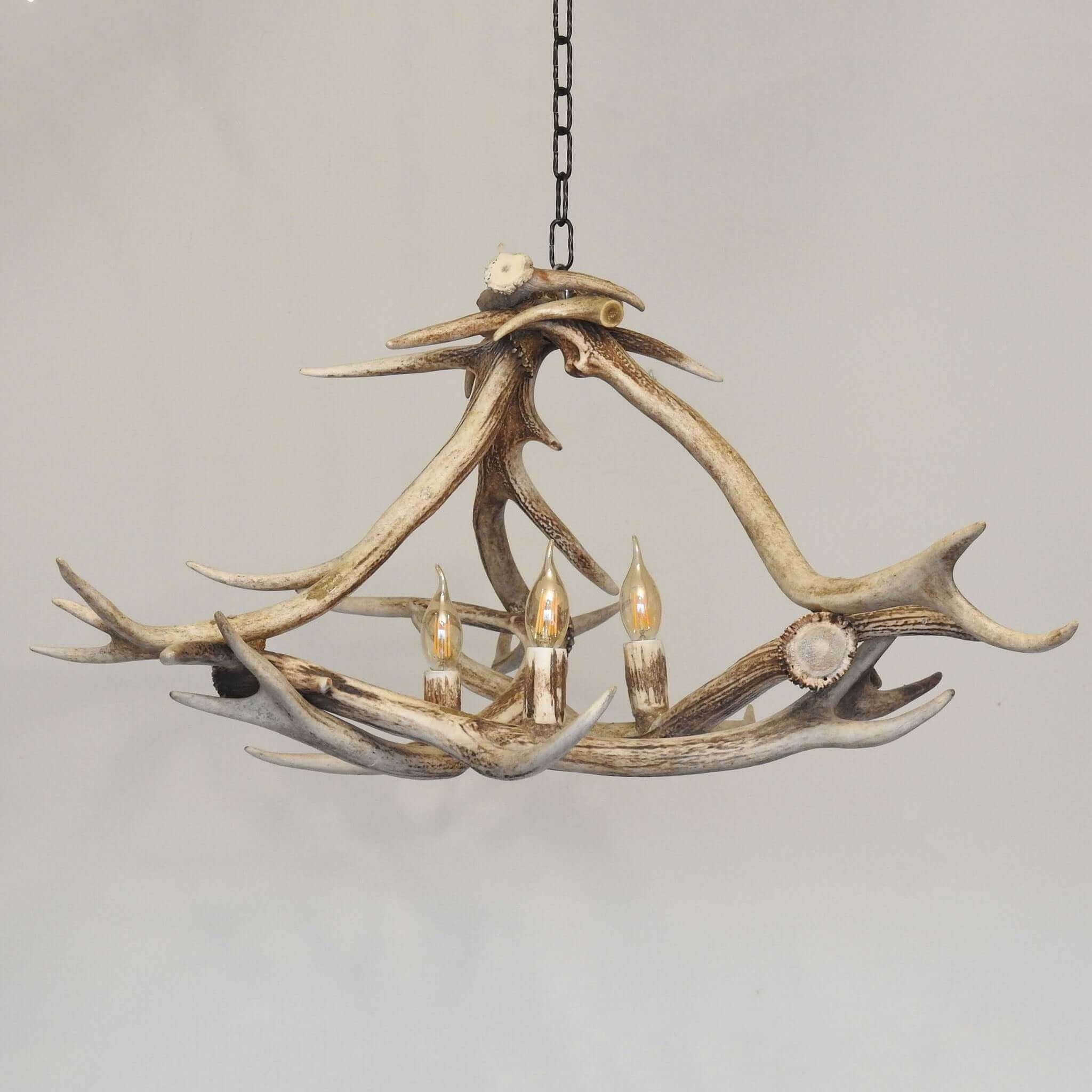 Whitetail deer antler chandelier.