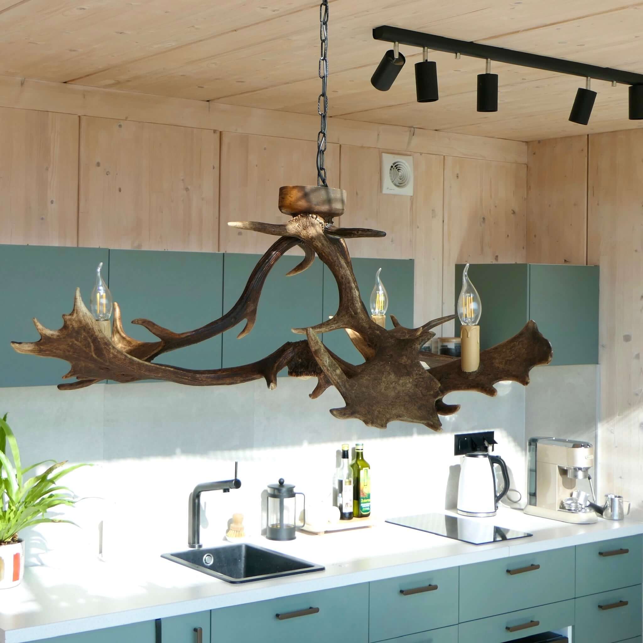 Rustic antler chandelier for 3 lights.
