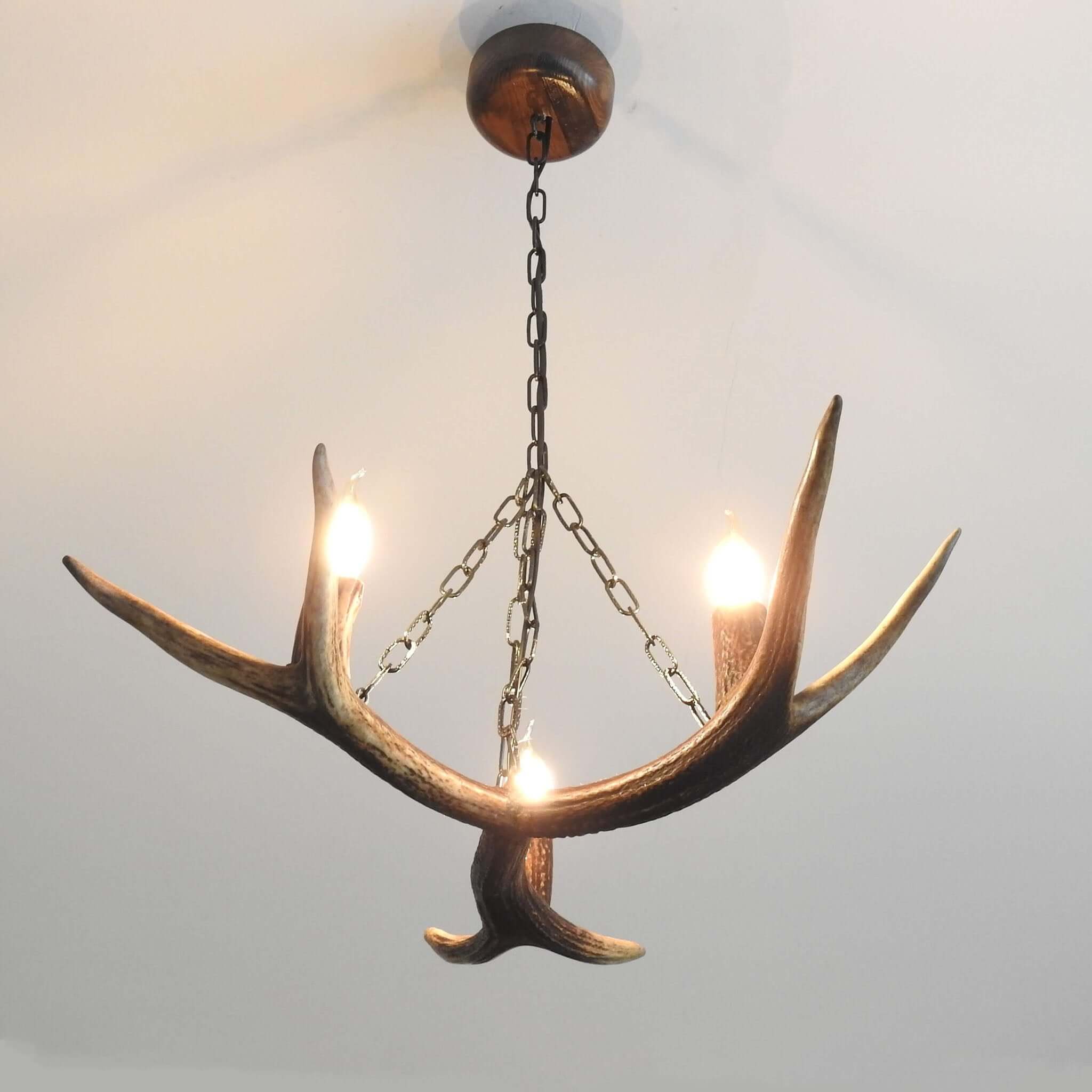 Rustic chandelier made of antlers, hanging on chain.