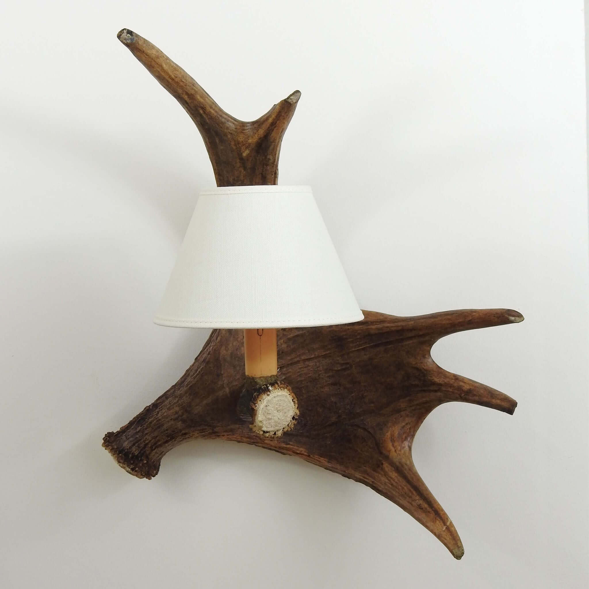 Moose antler decor.