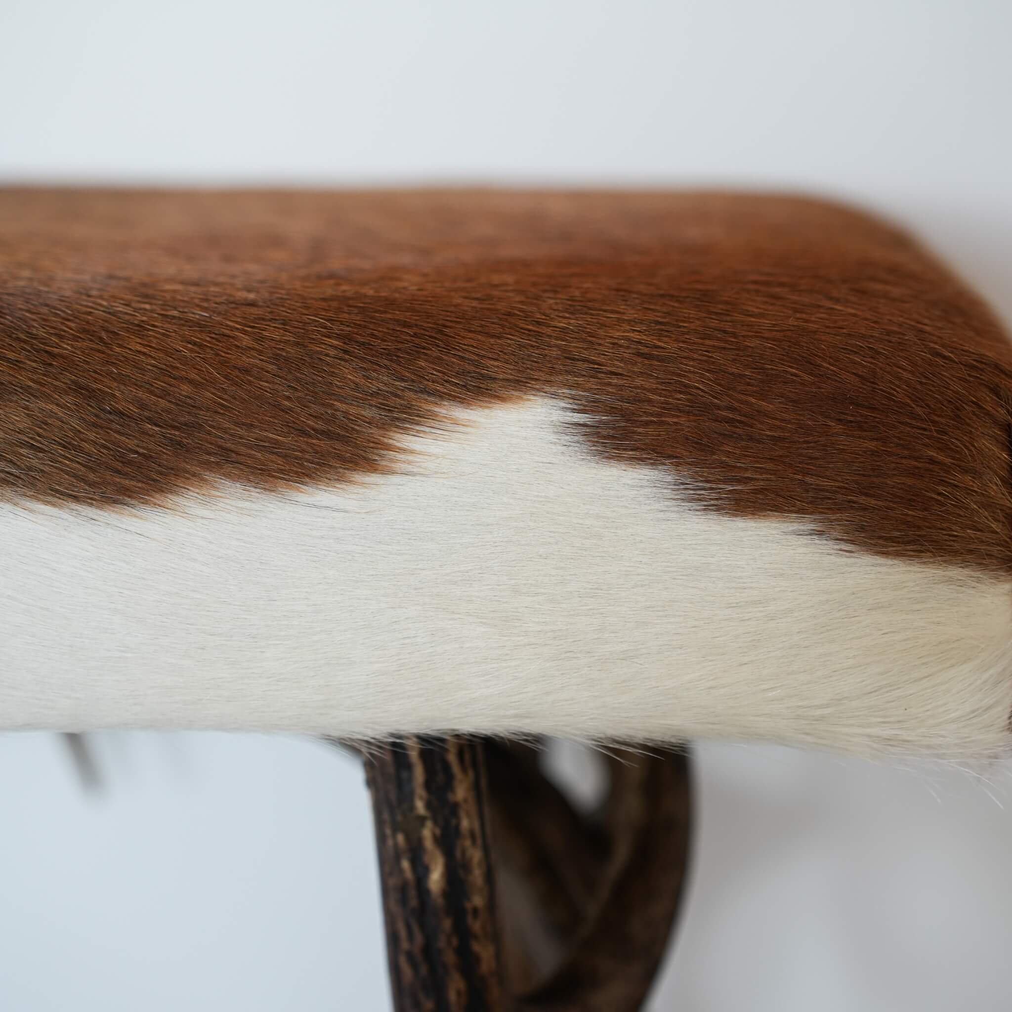Brown and white cowhide