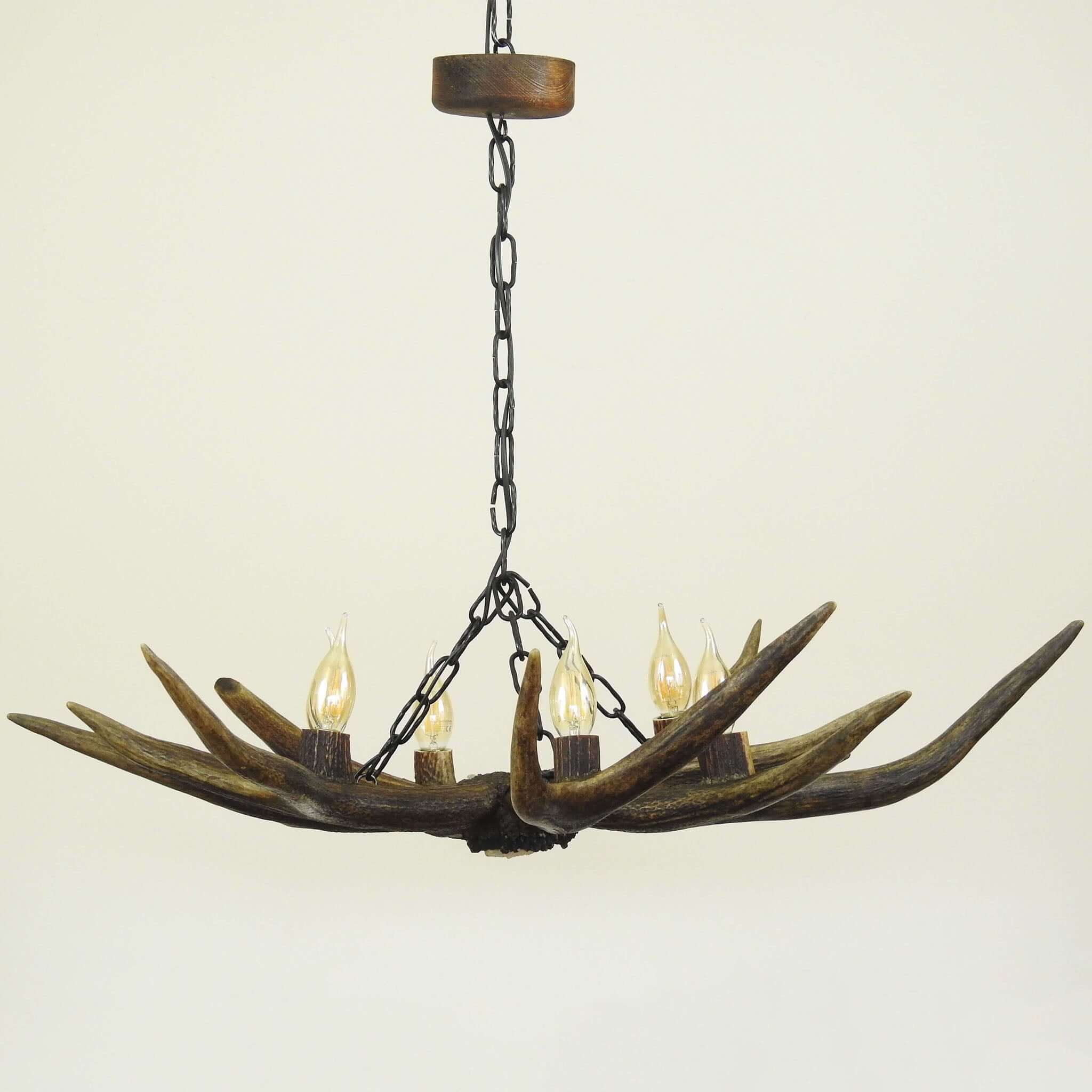 Red deer antler lamp.