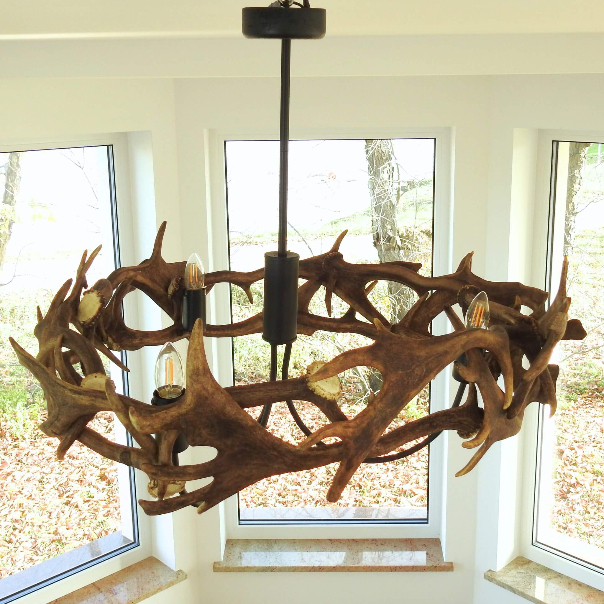 Fallow deer antler hanging chandelier.