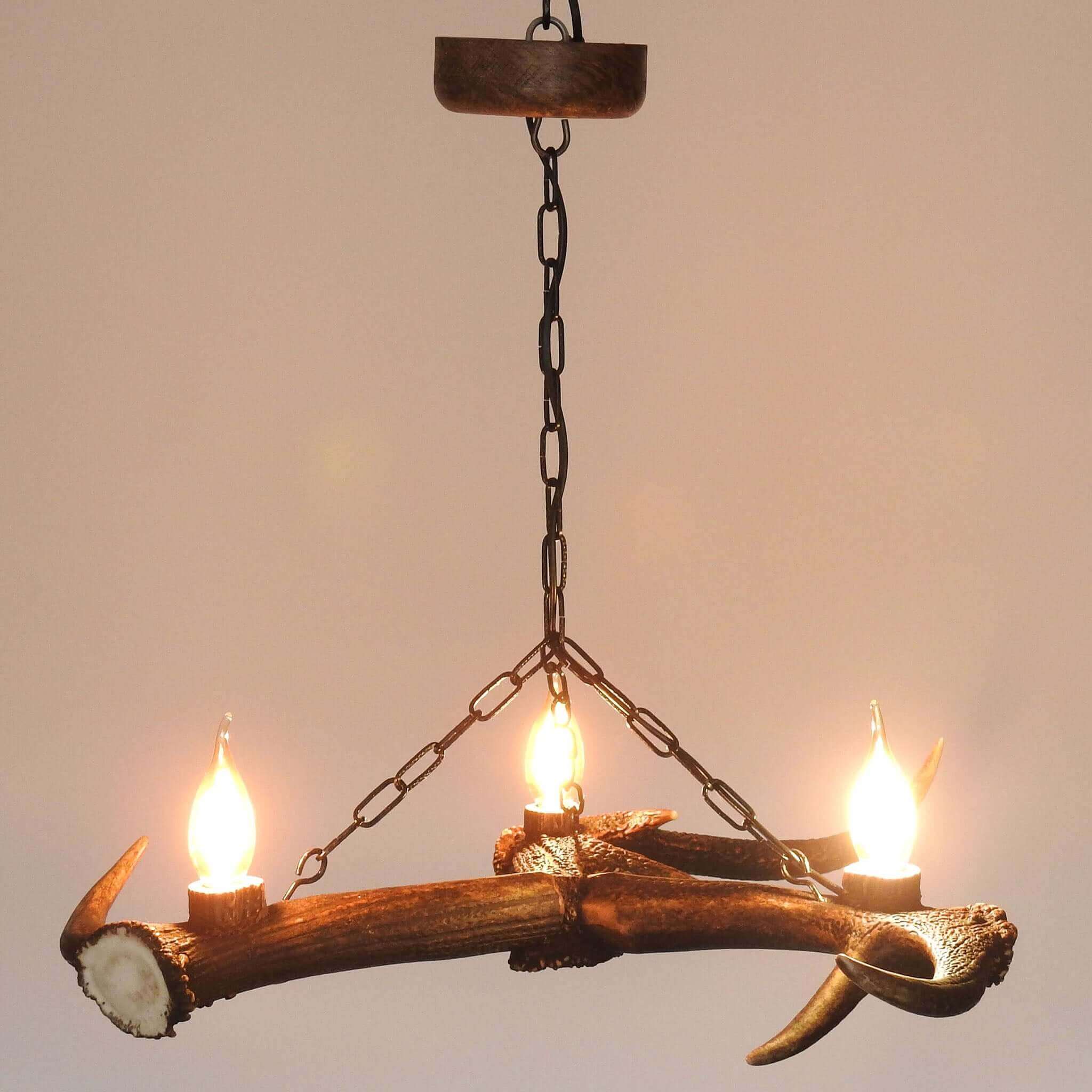 Real antler chandelier.