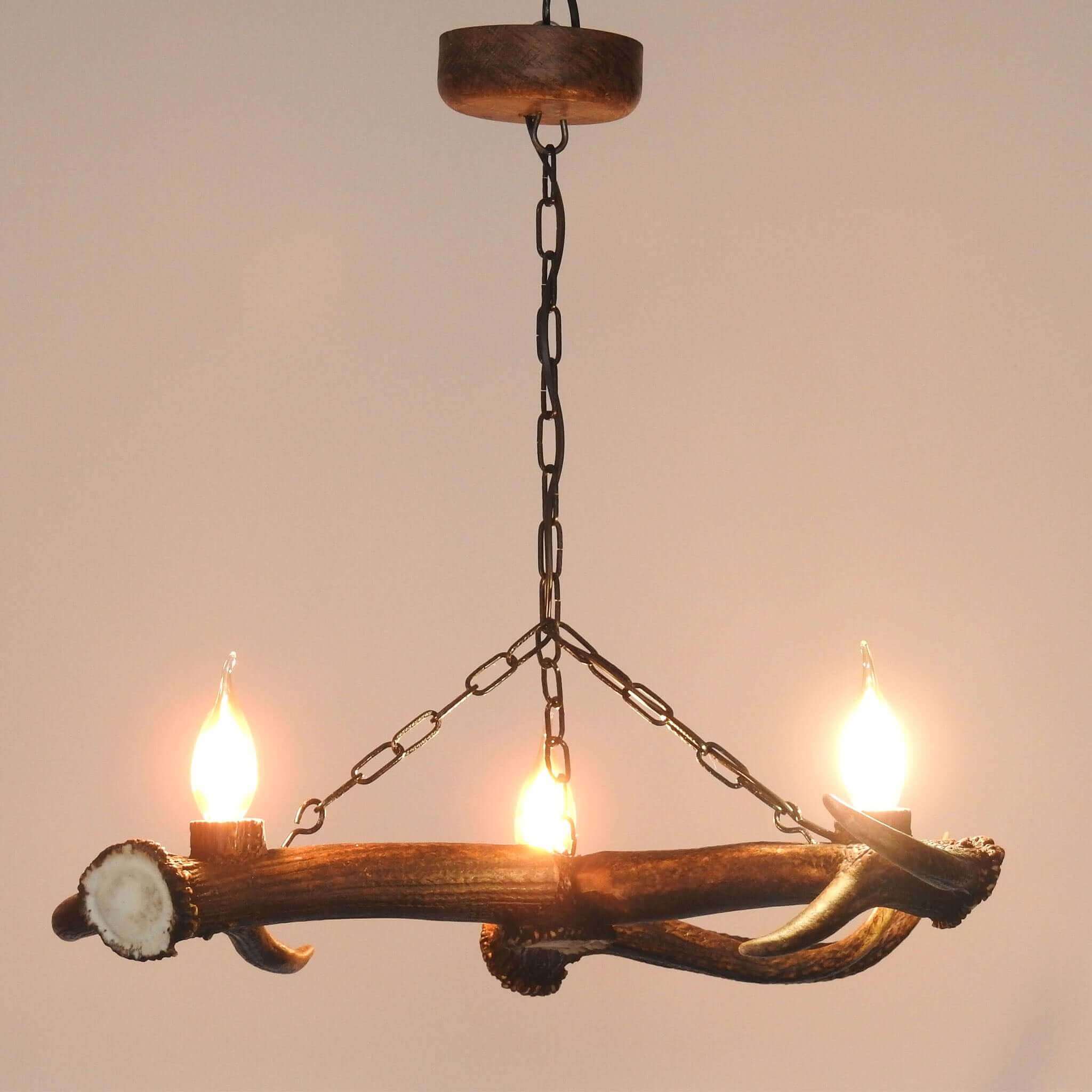 Small antler chandelier.