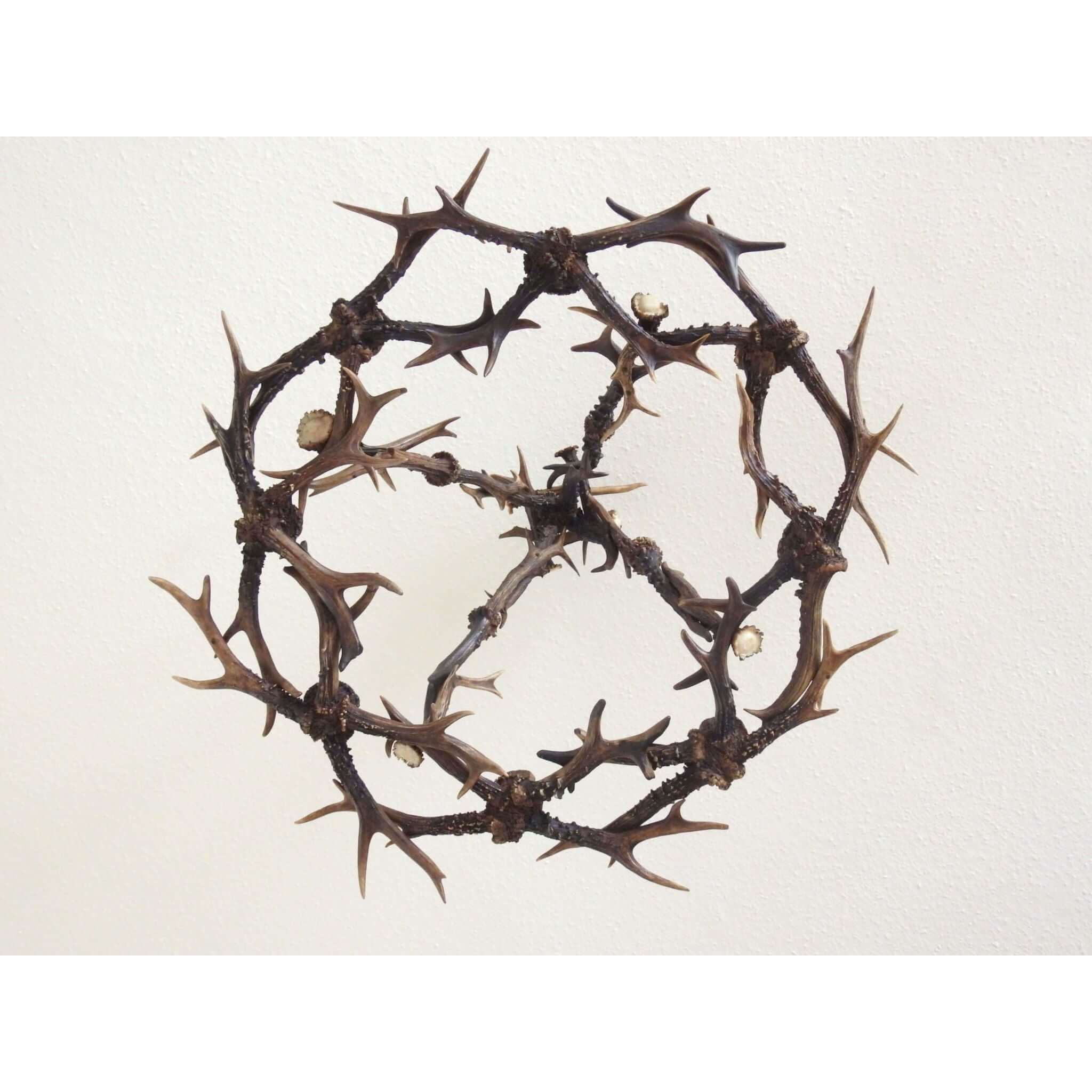 Real antler pendan light
